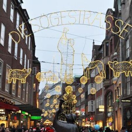 Impression - Montage von Weihnachtsbeleuchtungen